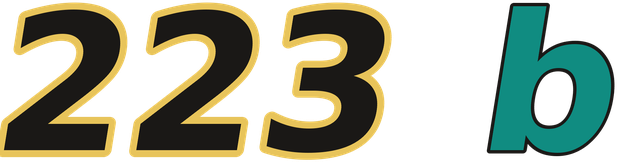 223 b logo